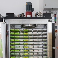 Bürgermeister Libellenproduktion9