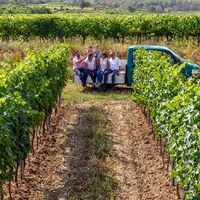 Weingut Pröglhöf1