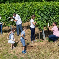 Weingut Pröglhöf2