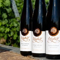 Weingut Pröglhöf3