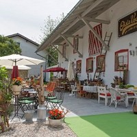 DSC 8877