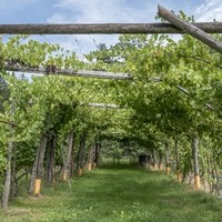 Mederlehof (2)
