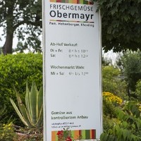 Frischgemüse Obermayr13