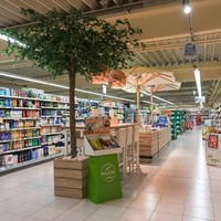 AdegGerauer (6)