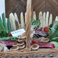 DSC 0073 01