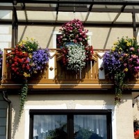 Raucherbalkon (2)