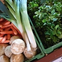 Saisonales und regionales Gemüse