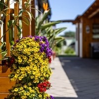 Familie Maier Weinbau Heurigenschank Gästezimmer7