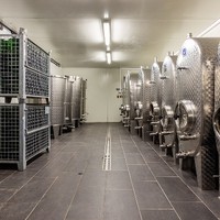Weinbau Kretz 13