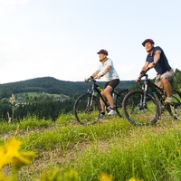 Mountainbike & E Bike Verleih Hotel Muhr