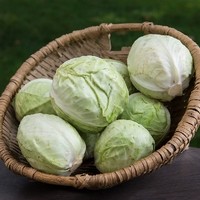 BioLang17