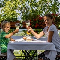 Harmwein1