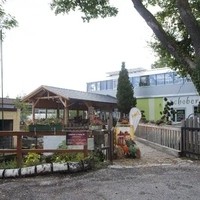 DSC 0476