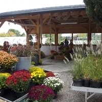 DSC 0504
