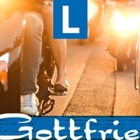 Slide 04 Fahrleistung