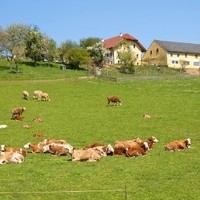 Redlbergergut foto1