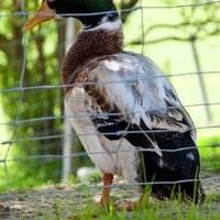 Redlbergergut foto4