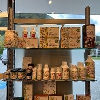 Tee aus der Apotheke Molln Hildegard von Bingen