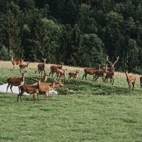 Hotel mit Landwirtschaft im Naturpark