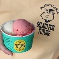 Gelato for Future