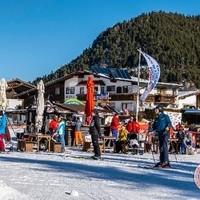 272093279 7316283831730079 1665509812089603052 n