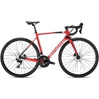 Bottecchia