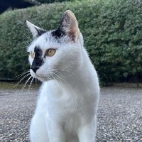 Tiere (22)