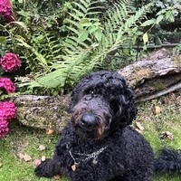 Tiere (24)