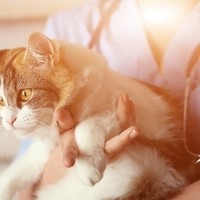 shutterstock 571926487