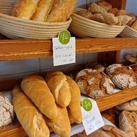 512760076 1176433004286551 3838785355579964746 n