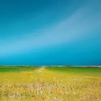 thumb h300 2015 07 15 19.43