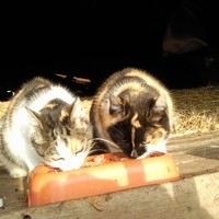 Foto0178