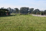 DSC 2797