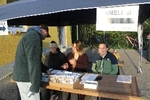IMG 7528