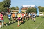 IMG 7617