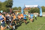 IMG 7619