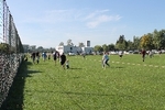 IMG 7809