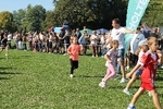 IMG 7874