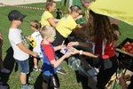 IMG 7882