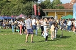 IMG 7887