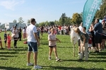 IMG 7908