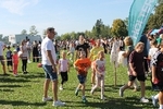 IMG 7913
