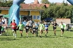 IMG 8131