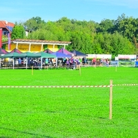 DSC 2719