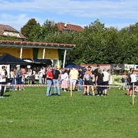 DSC 3009