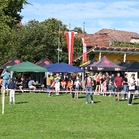 DSC 3010