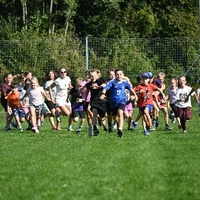 DSC 3117