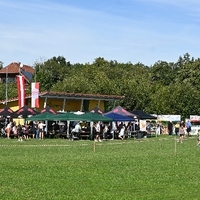 DSC 3288