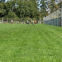DSC 3290