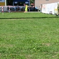 DSC 3307
